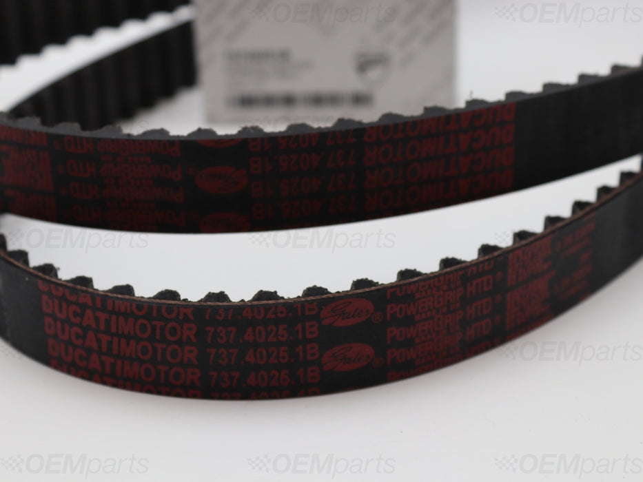 Sett med (2) Genuine OE Camshaft Belt DUCATI MONSTER 1200 (2014-2020)